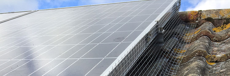 Pest Proofing Page Banner Image